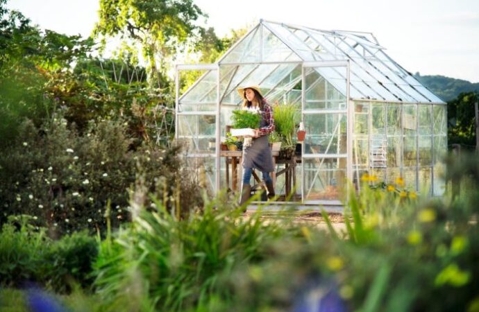 Mała szklarnia na działkę vs na taras – co się sprawdza w praktyce i dlaczego